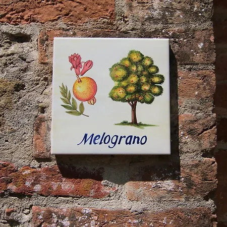 ファームステイ Agriturismo Borgoelenetta Paciano